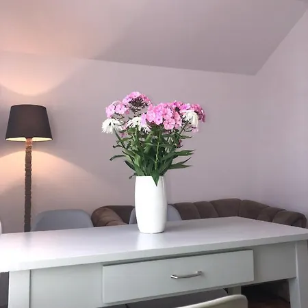 Apartament Lapacz Snow Tylicz Esterno foto