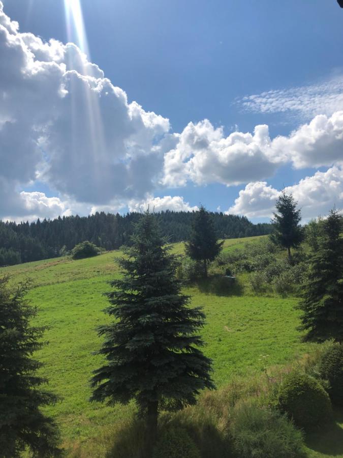 Lapacz Snow Homestay Tylicz